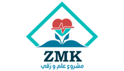 ZMK-Learning Platform